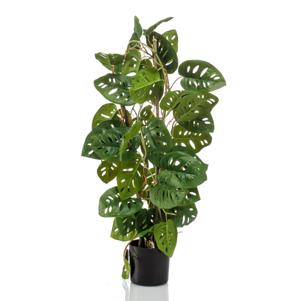 Emerald Art Plant i potte Monkey Monstera 75 cm