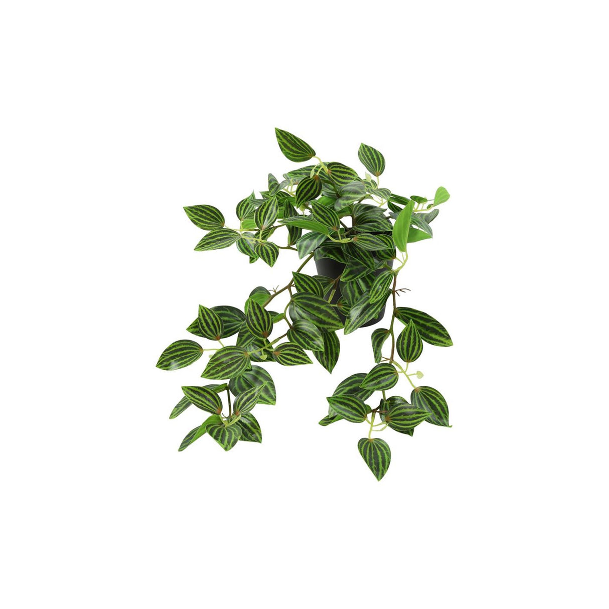 Countryfield kunstig plantestik hængende peperomia grøn l50w30h23cm
