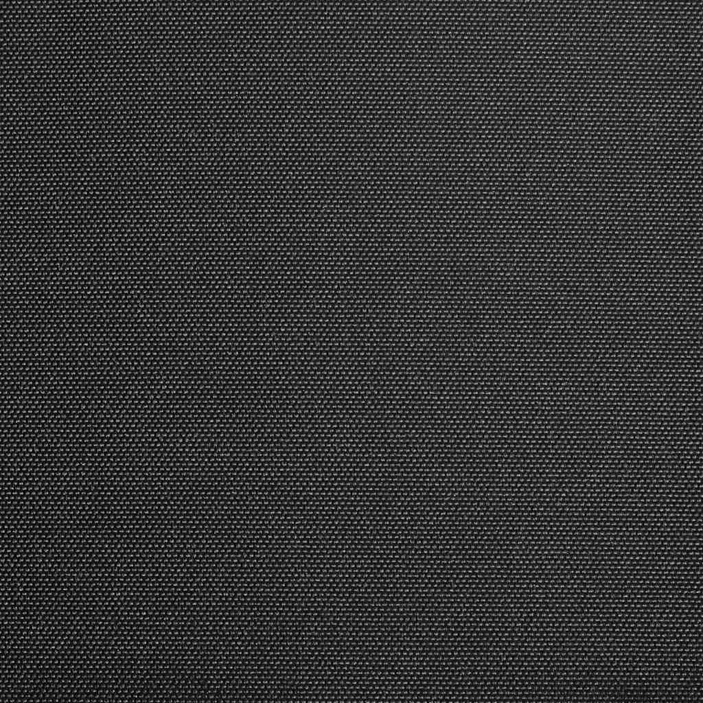 Vidaxl Laifeldoek 300x250 cm lærred antracit