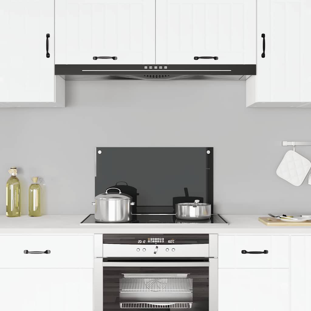 Vidaxl Splash Screen Kitchen 70x40 cm Termin Glass sort