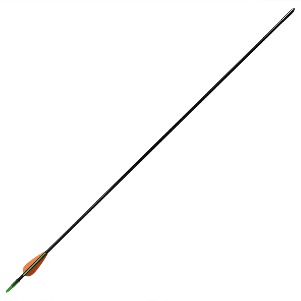 Vidaxl RecurveBoog Standard med pile 30 0,6 cm fiberoptiske 12 stykker