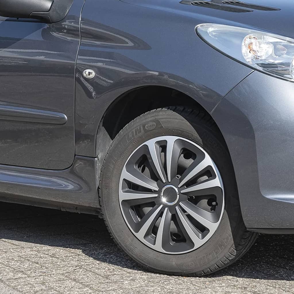 ProPPLUS HUBCAPS 4 ST TERRA 15 '' Sølvfarvet og sort