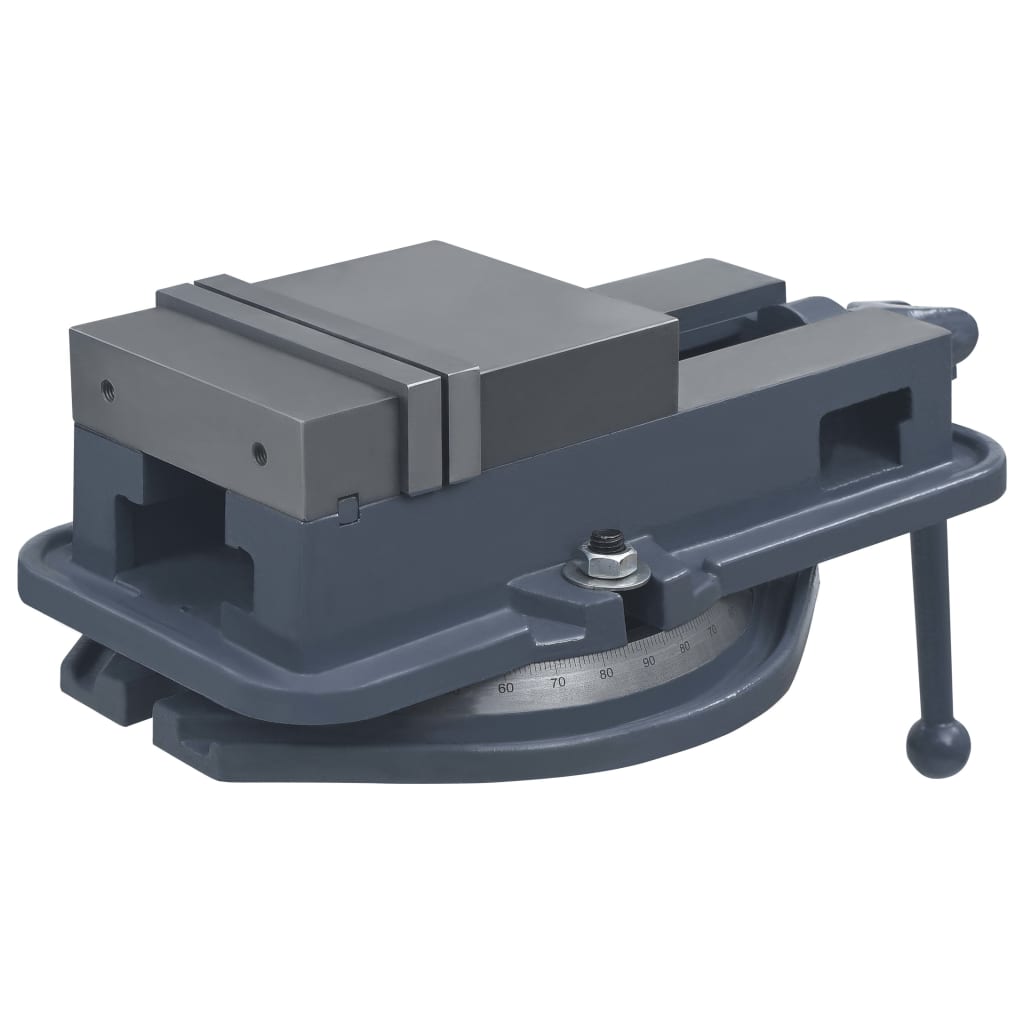 Vidaxl Vice Rotatable 160 mm støbejern