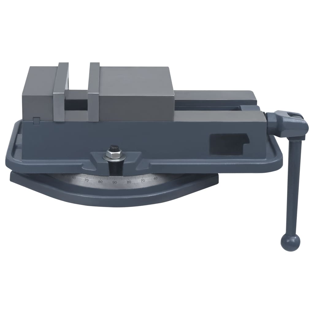 Vidaxl Vice Rotatable 160 mm støbejern