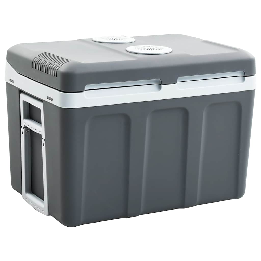 Vidaxl Cool Box Termoelektrisk bærbar 12 V 230 V E 40 L
