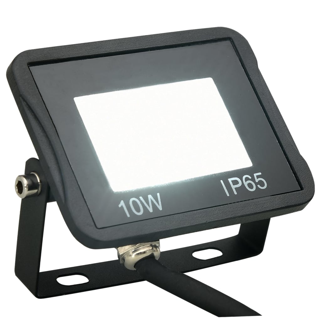 Vidaxl Spotlights 2 st førte 10 W Cold White