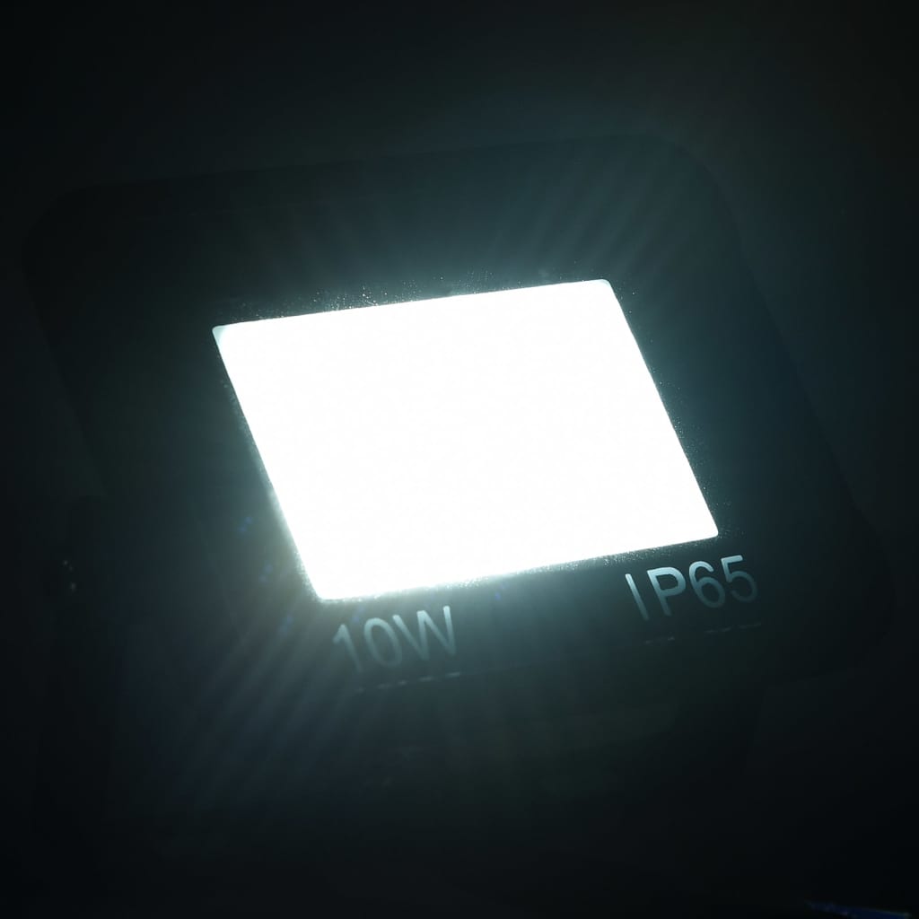 Vidaxl Spotlights 2 st førte 10 W Cold White