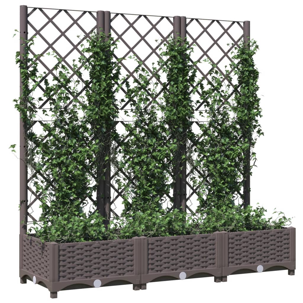 Vidaxxl plantekasse med espalier brun 120x40x121,5 cm s