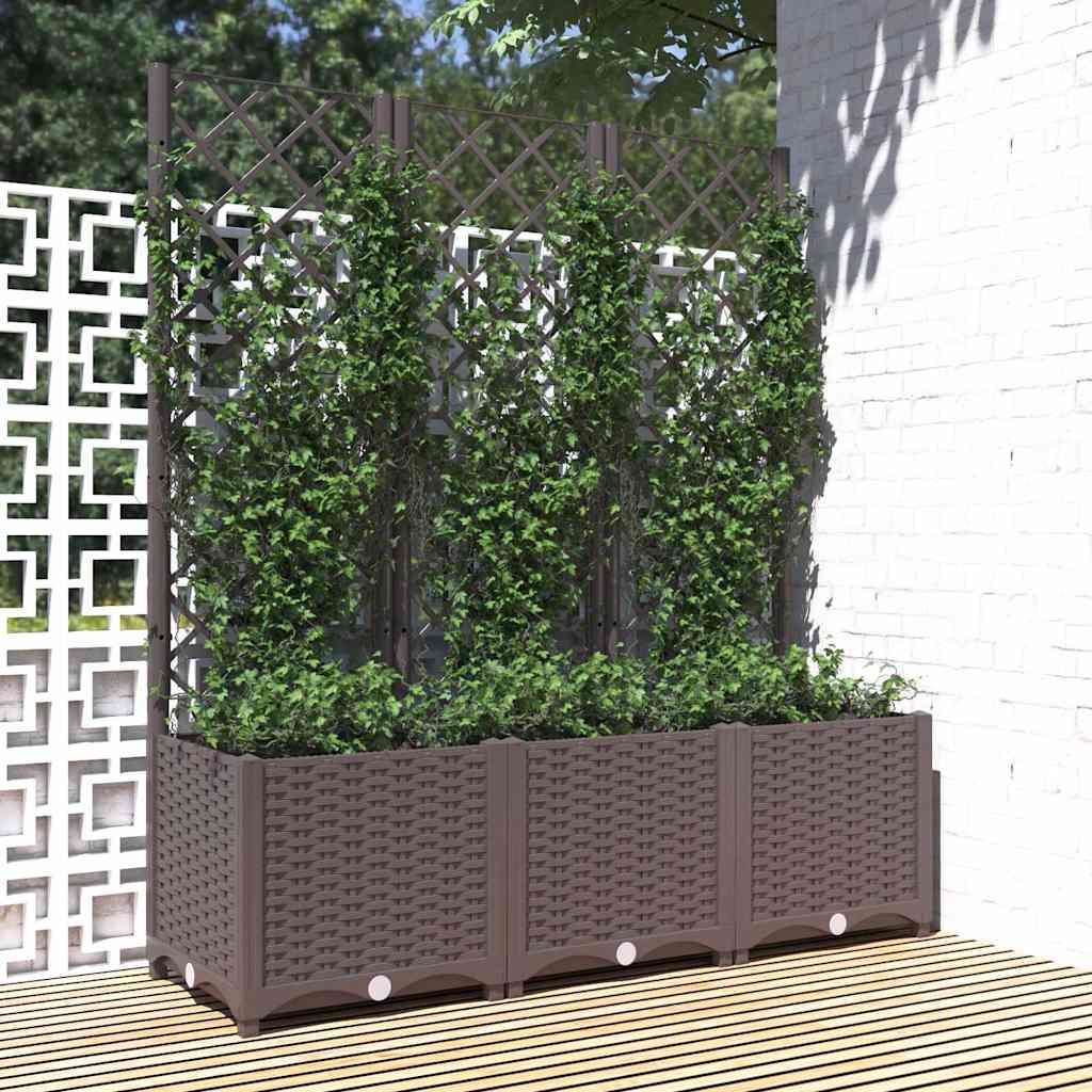 Vidaxxl plantekasse med espalier brun 120x40x136 cm s