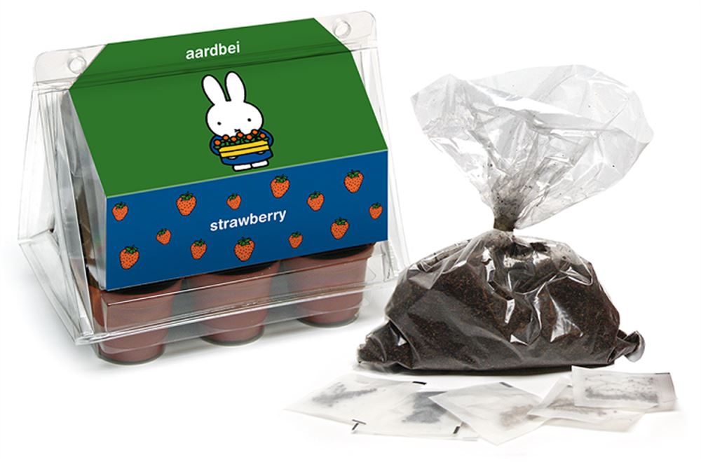 Nijntje minikas aardbei.