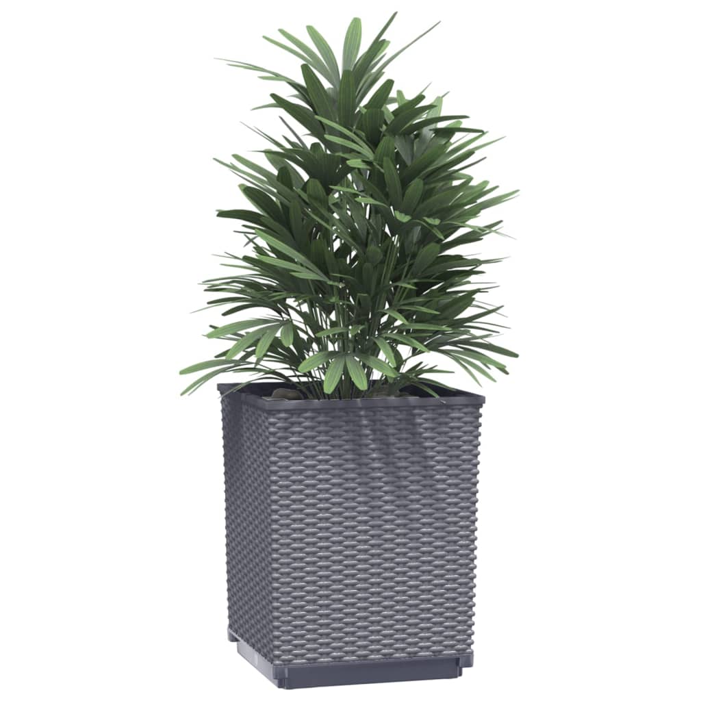 Vidaxx plantekasser 4 stk 30x30x37 cm polypropylen mørkegrå