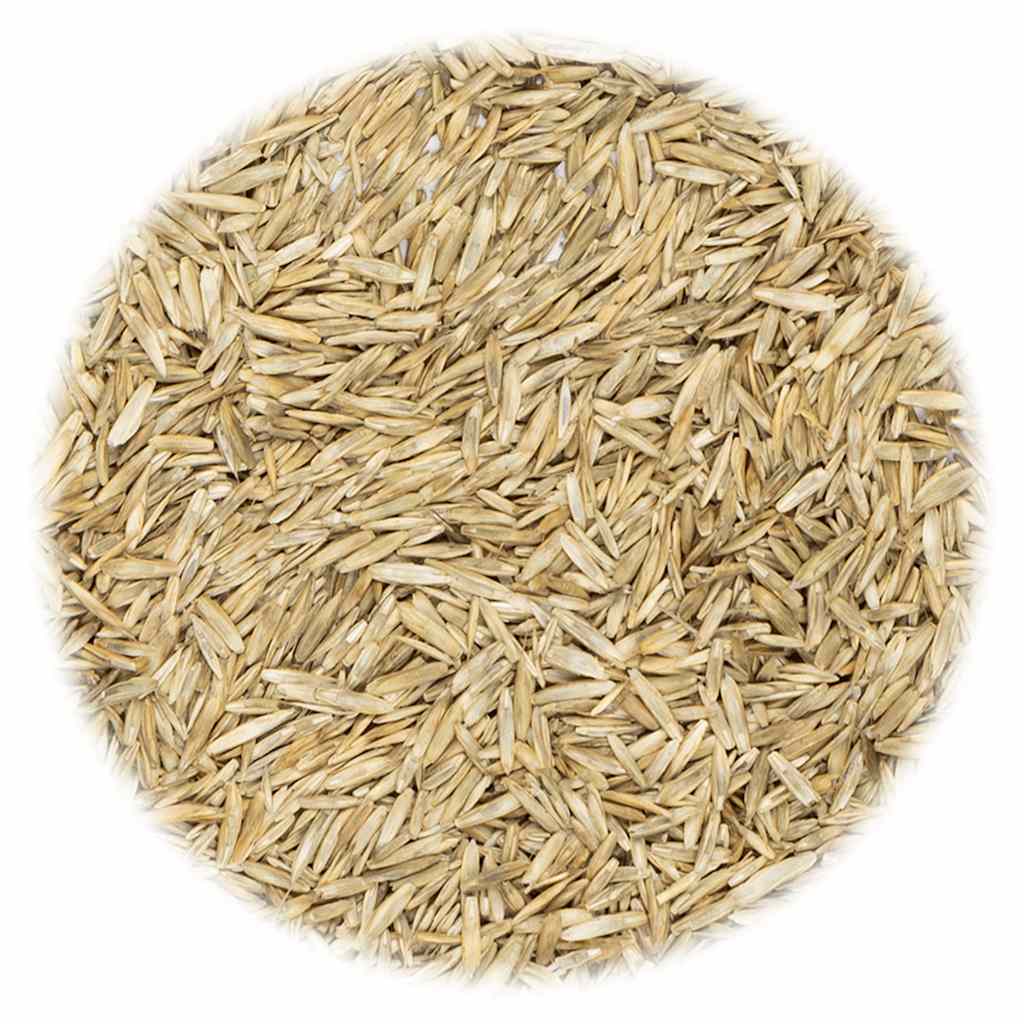 VidaXL Græsfrø 10 kg