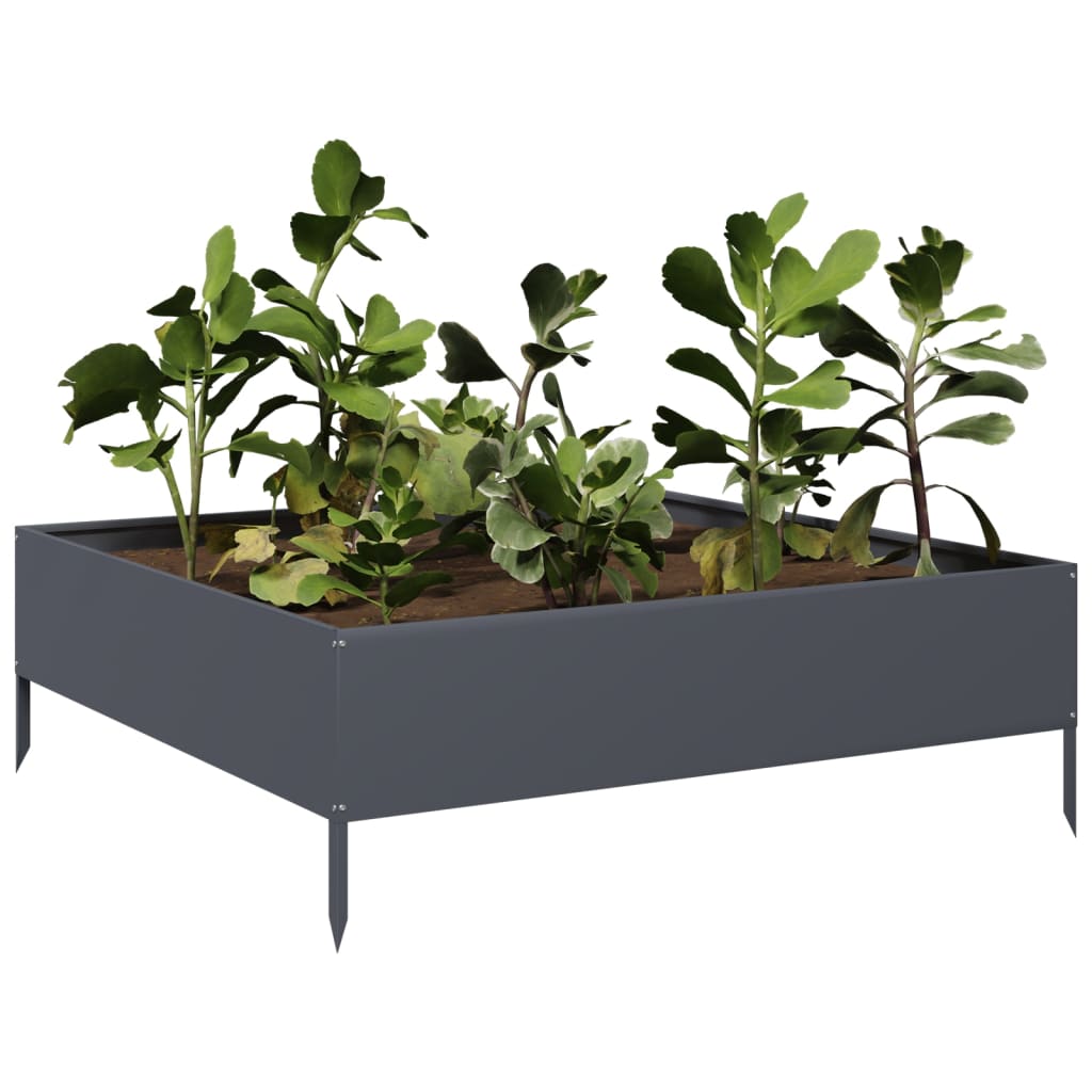 Vidaxx plantekasse hævet 100x100x33,5 cm stål antracit