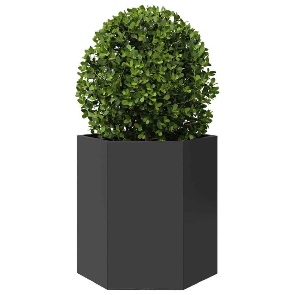 Vidaxx plantekasse sekskant 46x40x45 cm stål sort