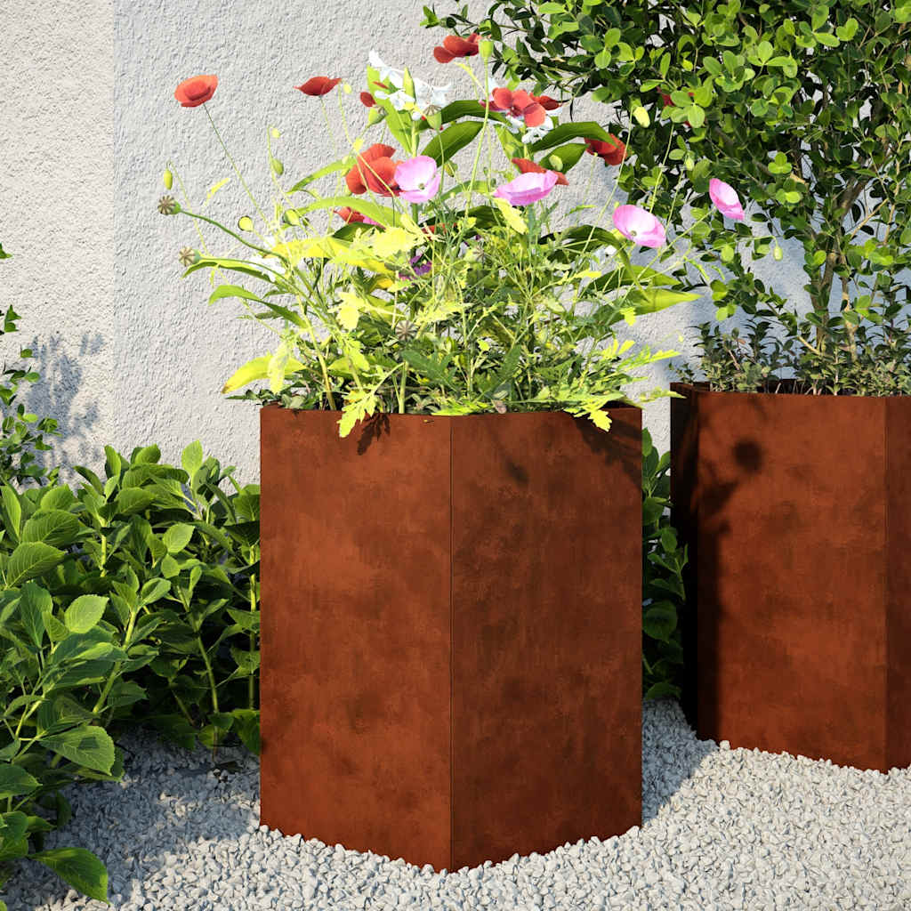 Vidaxx plantekasser 2 stk sekskant 46x40x45 cm vejrbestandigt stål
