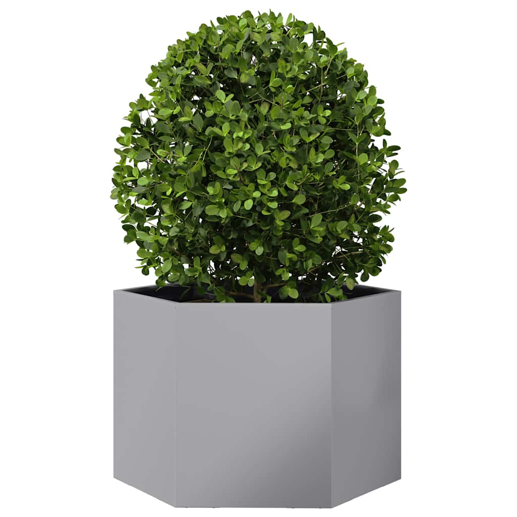 Vidaxx plantekasse sekskant 69x60x45 cm galvaniseret stål