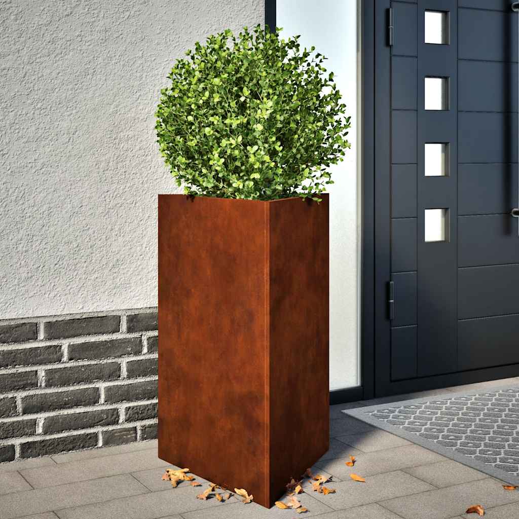 Vidaxx plantekasser 2 stk trekantede 50x43x75 cm vejrbestandigt stål