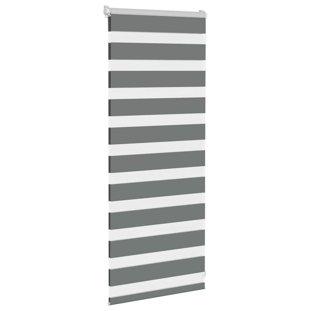 VidaXL zebra rullegardin 55x100 cm stofbredde 50,9 cm mørkegrå
