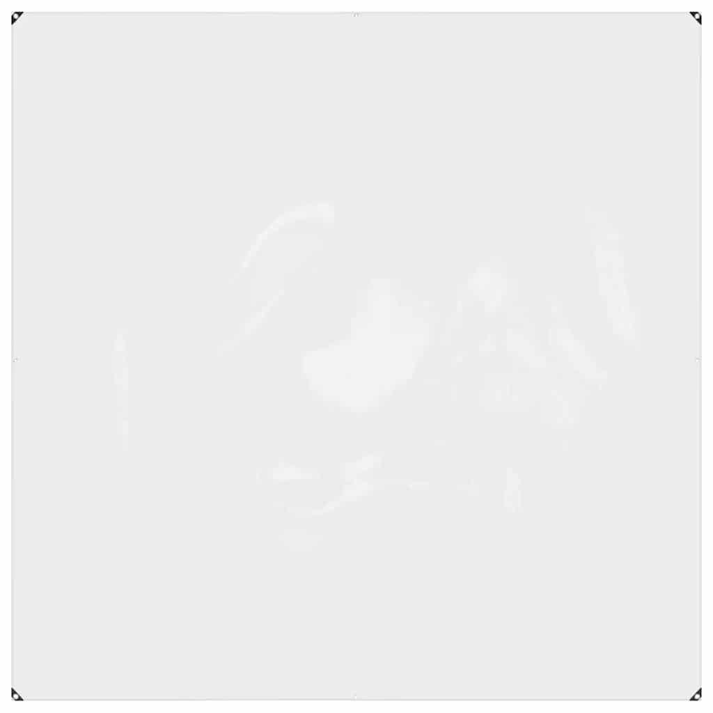 Vidaxx transparent betræk med øjne 2x2 m PVC