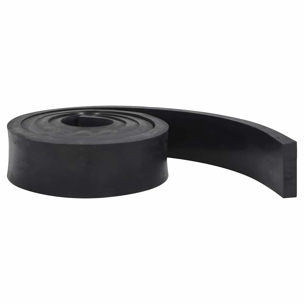 VidaXL gummikant til sneplov 250x8x2 cm sort