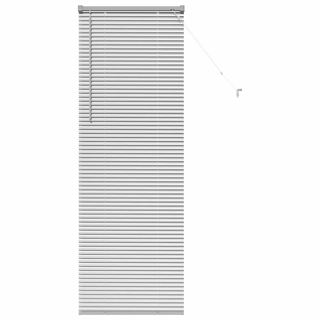 Vidaxl venetiaanse jaloezieën zilver 175 x 60 cm aluminium