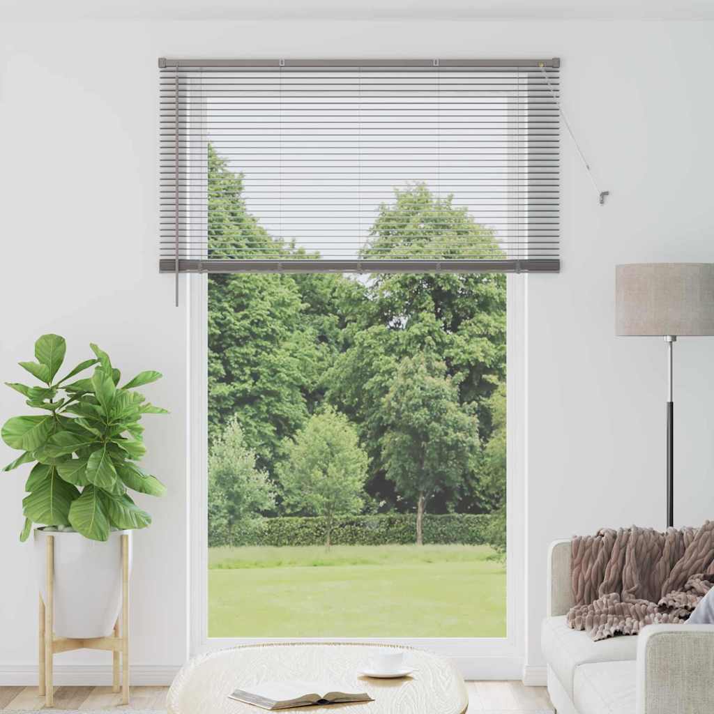 Vidaxl venetiaanse jaloezieën zilver 220 x 145 cm aluminium