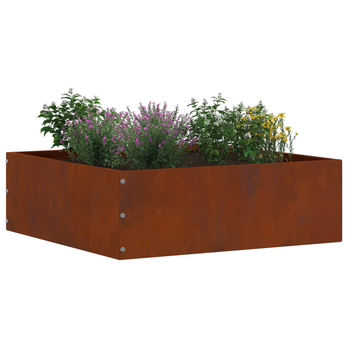 Vidaxl tuinrand 6 pcs roestig 40 x 40 x 13 cm cortenstaal