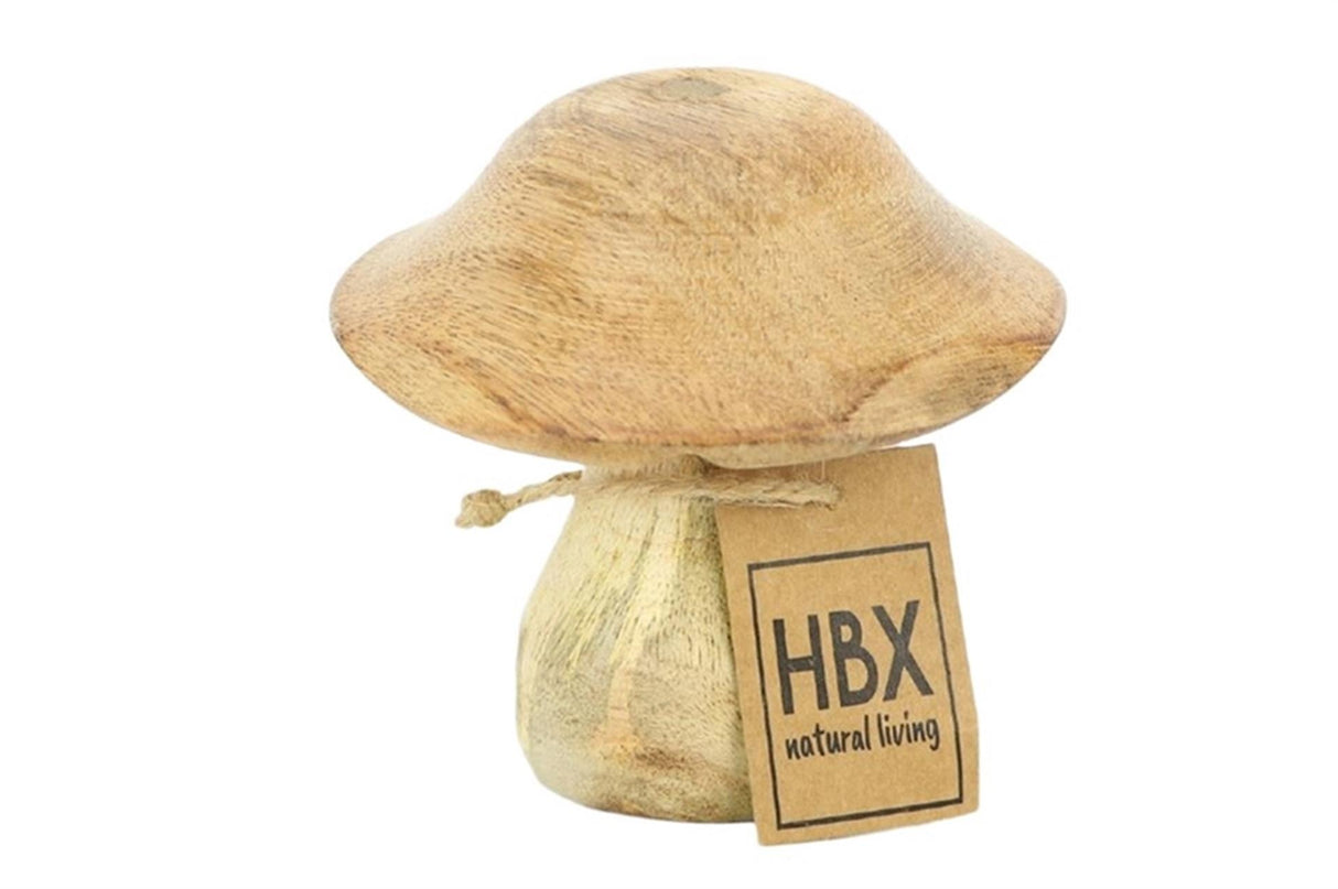 HBx naturlig levende svampe mangotræ