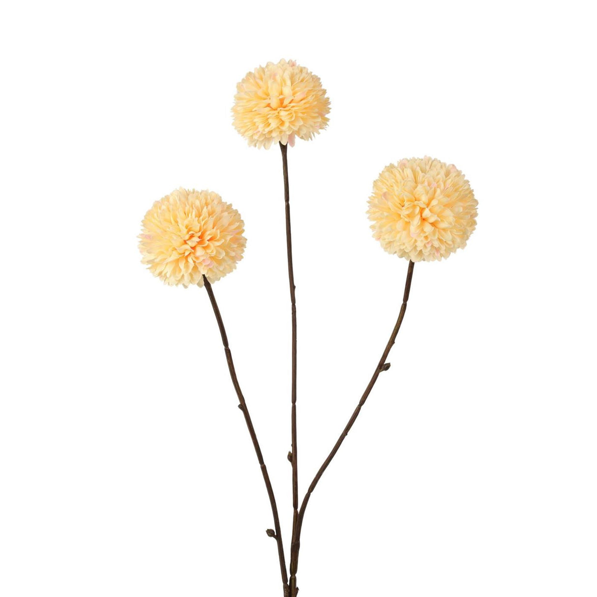 Roberts collection pompom 78 cm zacht geel