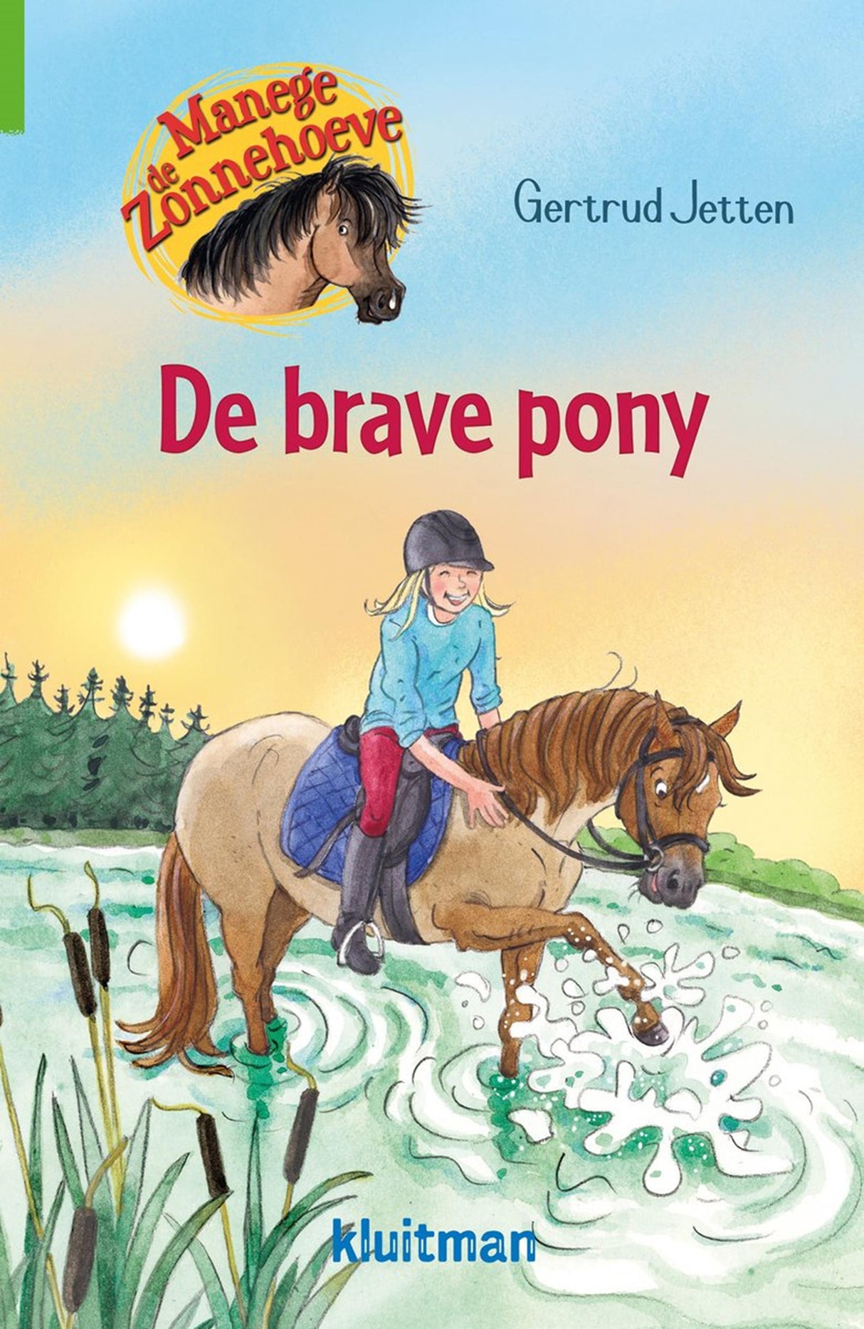 Kluitman rideskole De Zonnehoeve. den gode pony