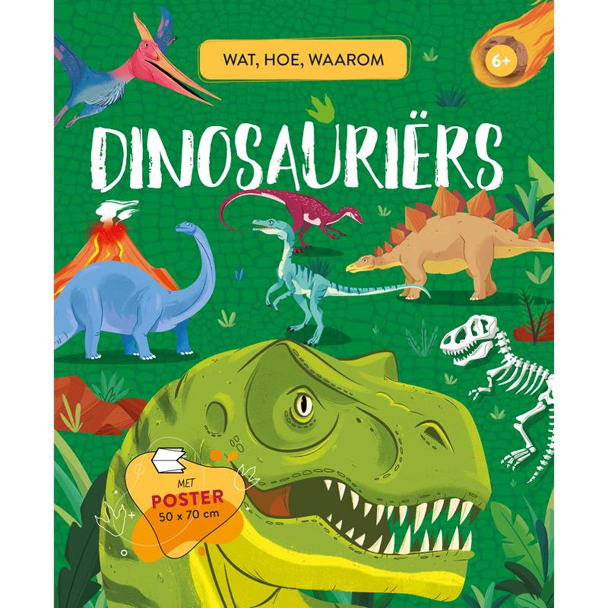Rebo dinosaurer - hvad, hvordan, hvorfor