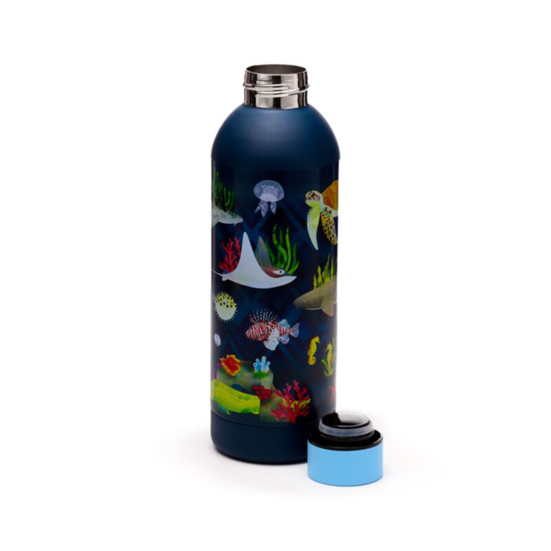 Marine kingdom termokande 530ml