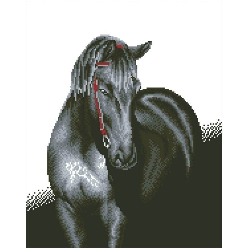 Midnatshingst diamant dotz: 53x42 cm (dd10.012)