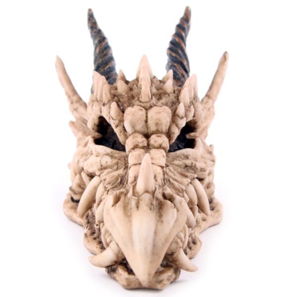 Dragon skull pengekasse