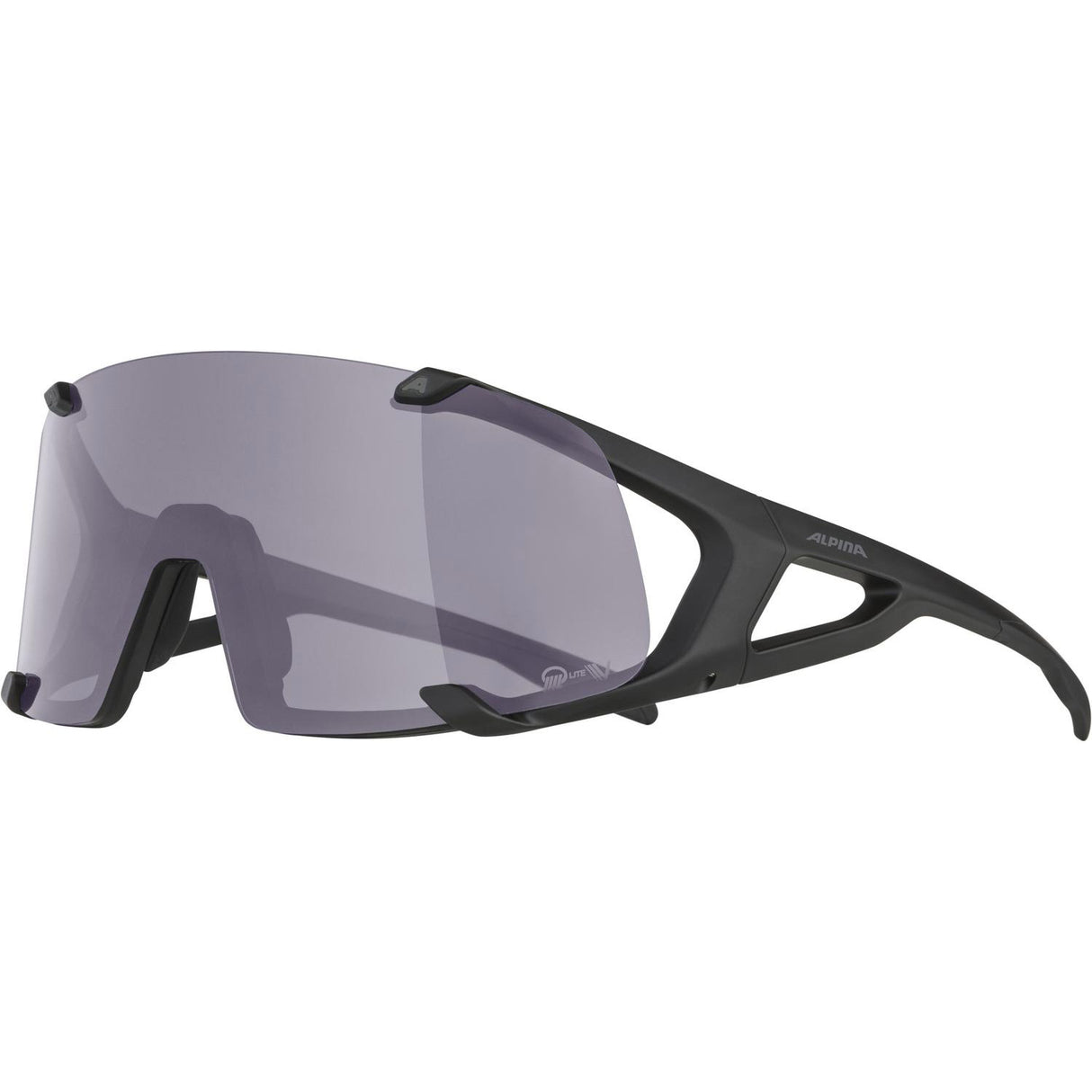 Alpina sports-sportsbriller hawkeye q-lite v sorte