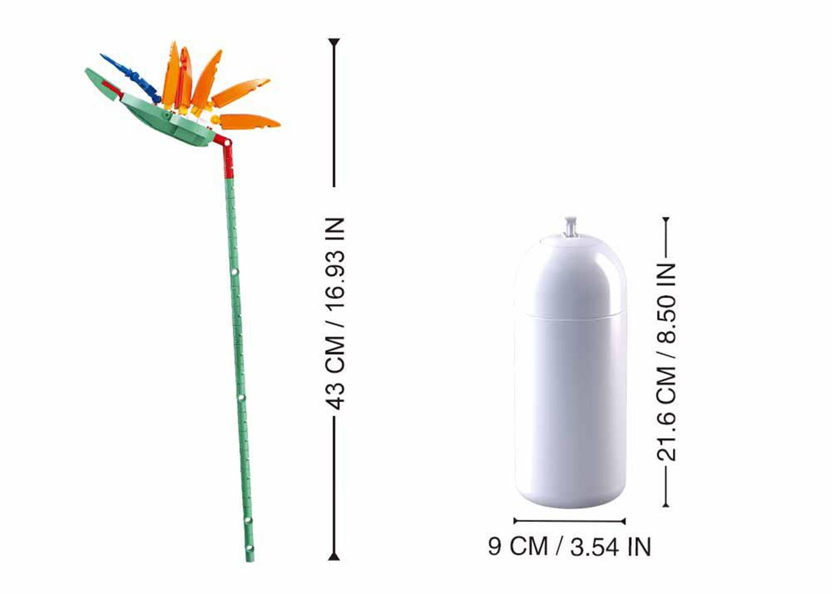 Sluban blomster paradisfugl blomst strelitzia reginae aiton 148 dele