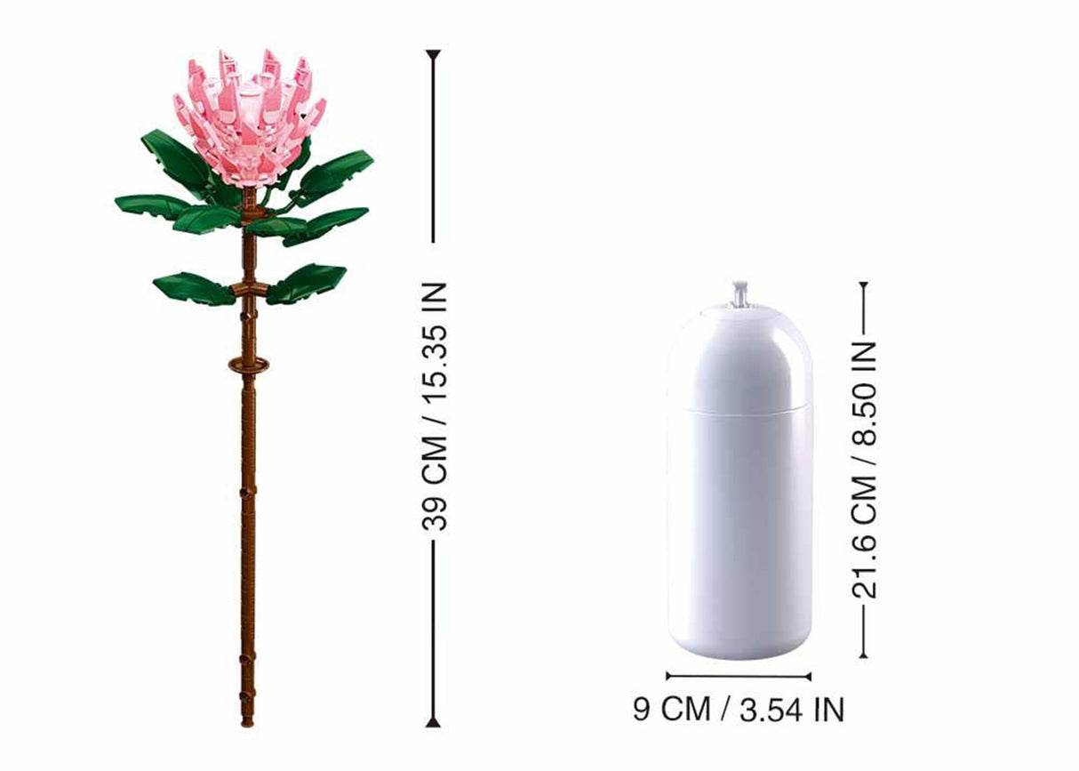 Sluban blomster kæmpe protea cynaroides 219 stk