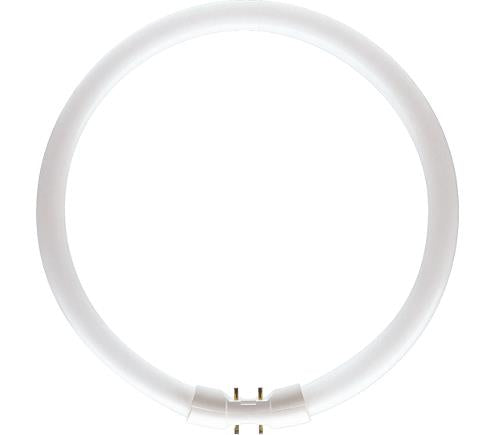 Philips TL5 Circular 55W 830 Master Warm White 2Gx13 | 10 stk