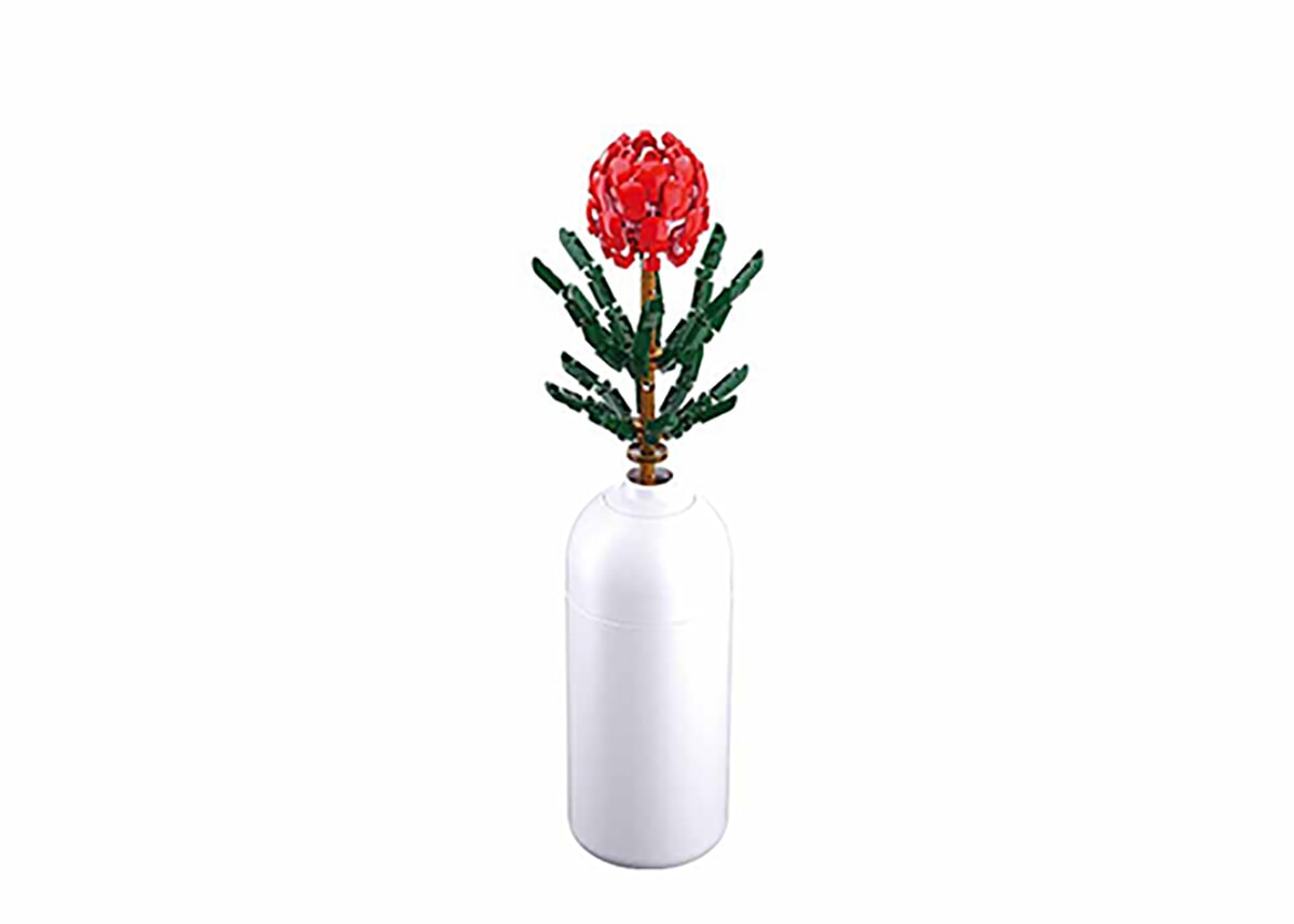 Sluban edderkopblomst (m38-b1101-08)