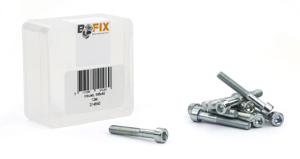 Bofix Allenbout M6X40 Galvaniseret (12.)
