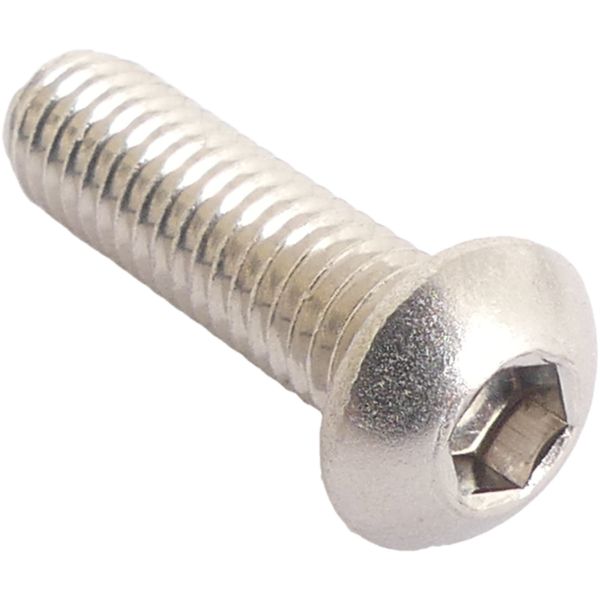 Bofix Brake Disc Bolt M6 Allen med pærehoved Rustfrit stål (10 stykker)