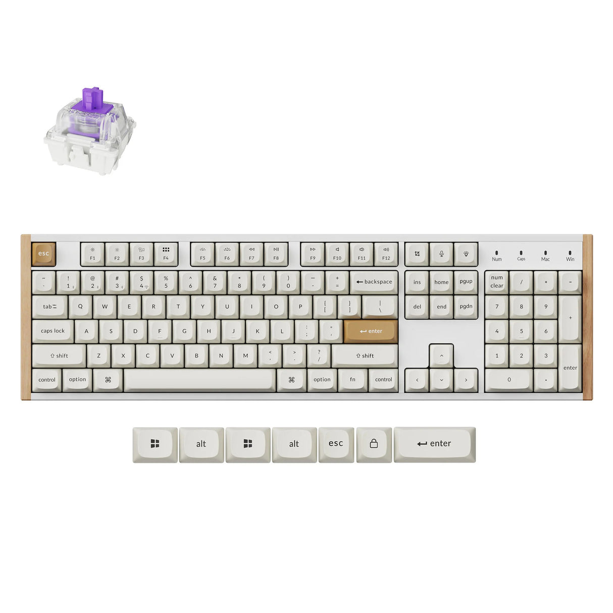 Keychron K10 HE-Q1 RGB mekanisk tastatur (hvidt, amerikansk layout (QWERTY), Gateron dobbeltskinne magnetisk tåge, 100%, RGB LED'er, osa double-shot PBT, hot swap, USB-C | 2,4 GHz | Bluetooth 5.1)