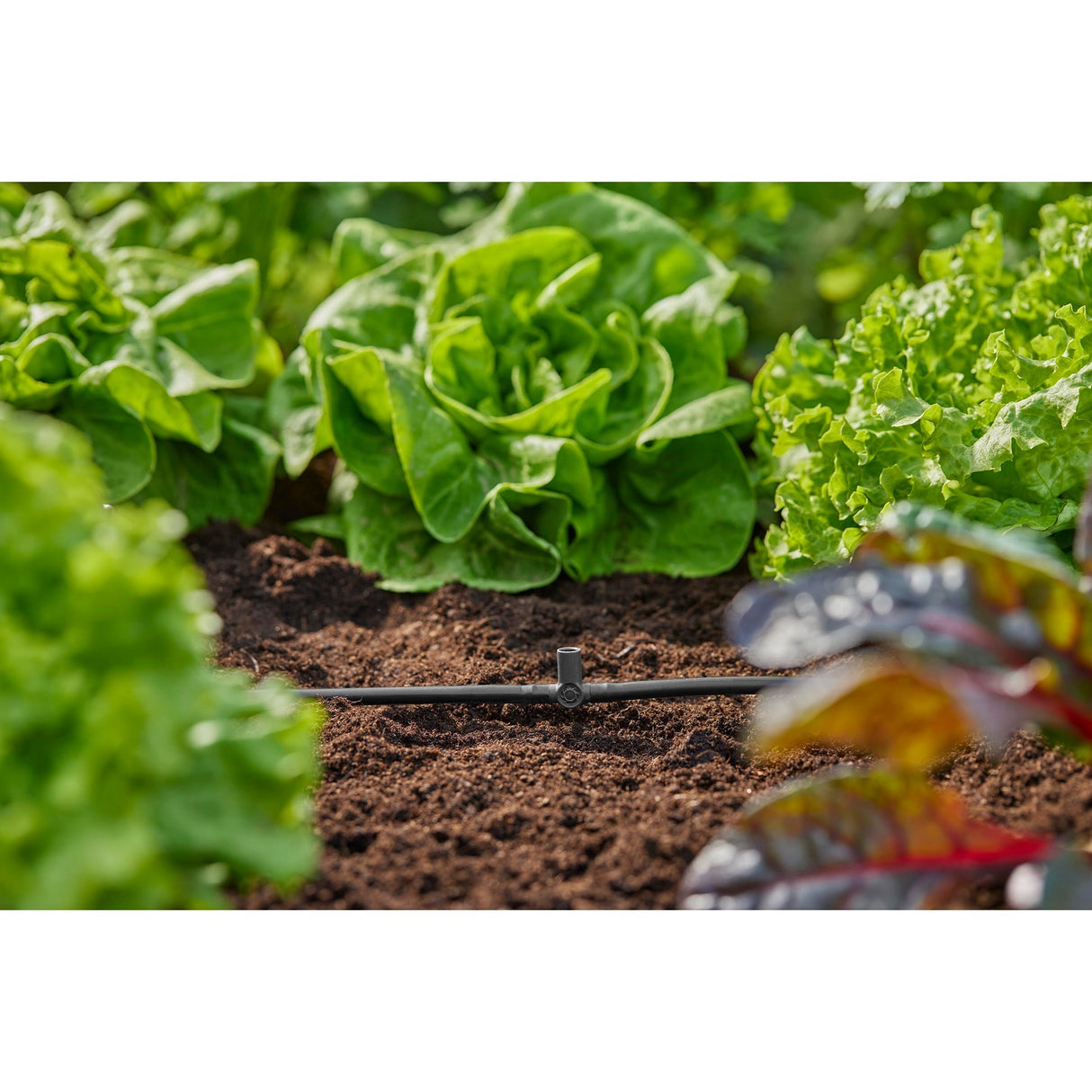 Gardena T-stykke til sprinklere endedrypper 4,6 mm (3 16 ) tilslutning (mørkegrå, 5 stk.)