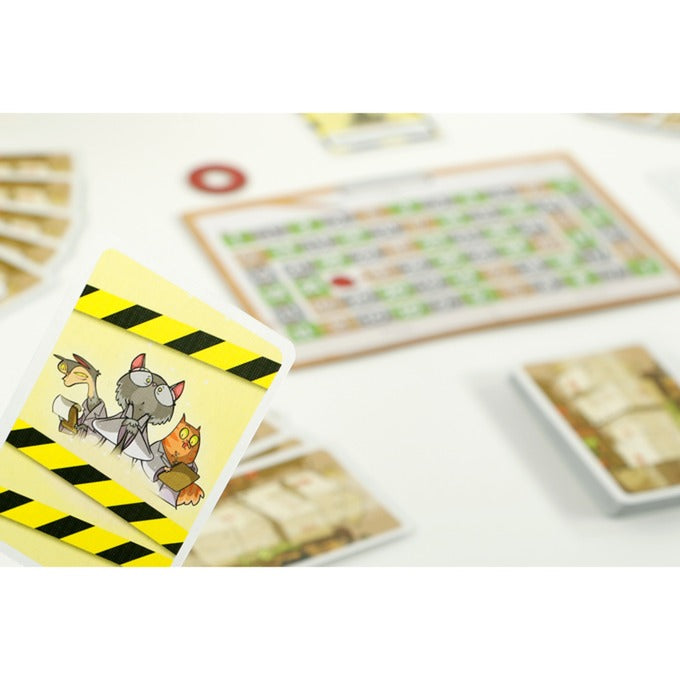 999spil 999 spil Schrödingers kattekortspil (hollandsk, 2 - 6 spillere, 20 minutter, fra 10 år)