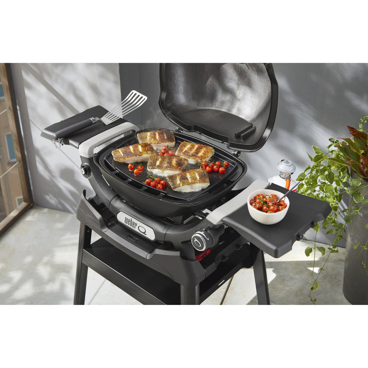 Weber komplet plancha til q 1100n q 1200n