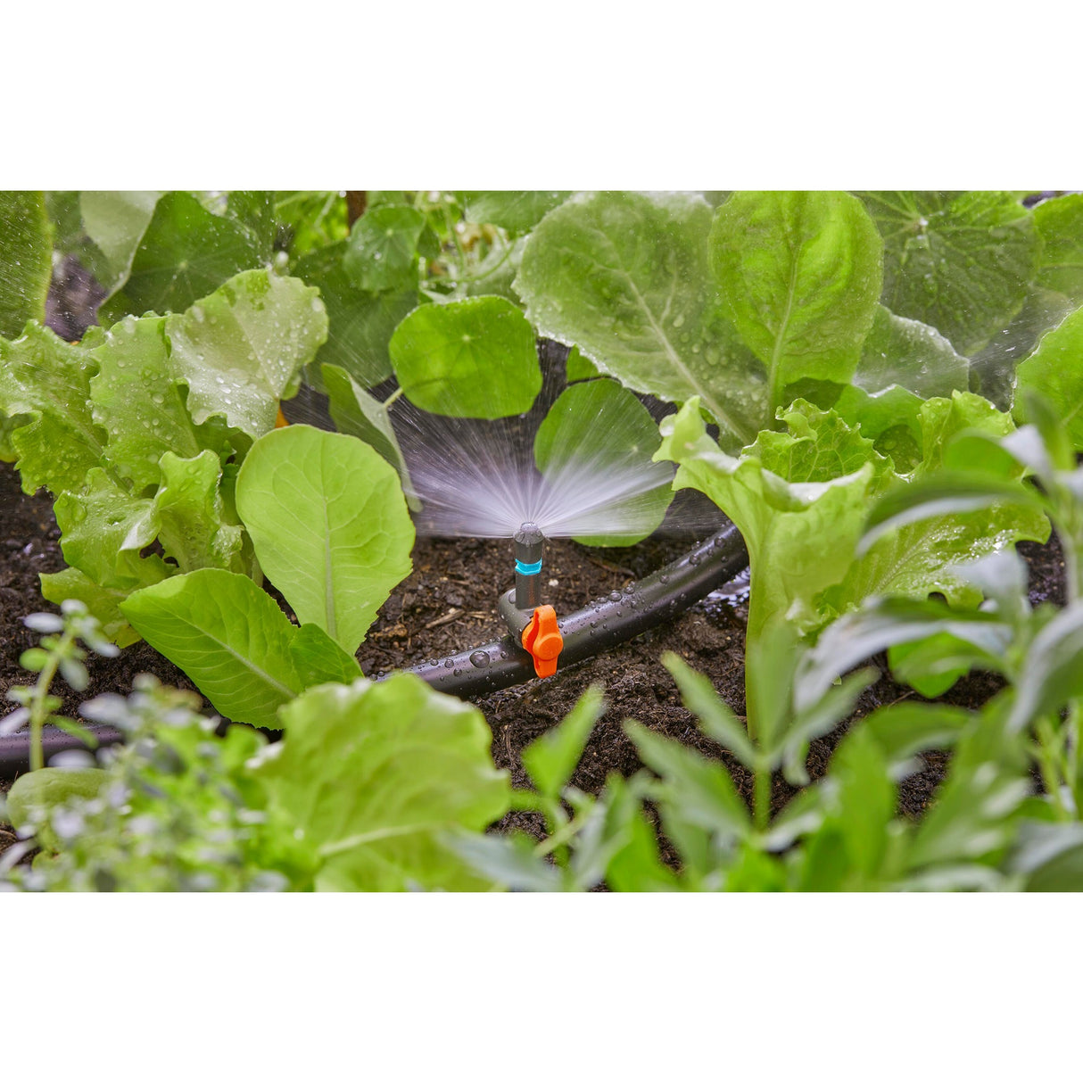Gardena sprinkler 180° (sort turkis, 5 stk.)