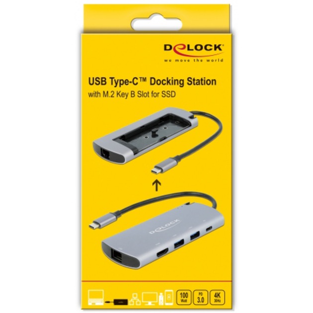 Delock USB Type-C dockingstation med m.2 slot (grå)
