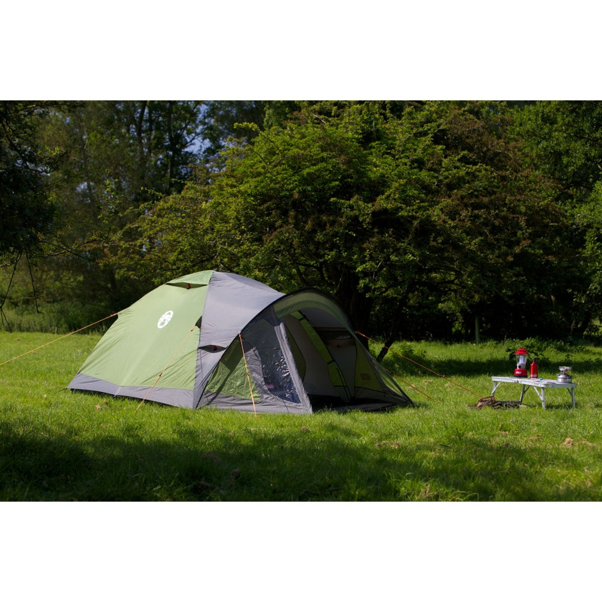 Coleman darwin 2+ telt (grøn grå)