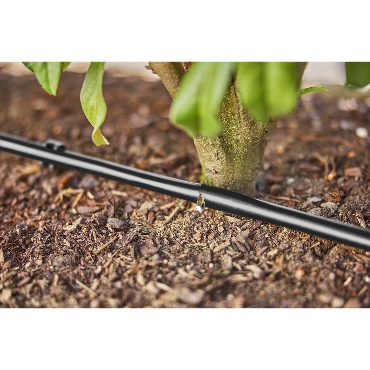 Gardena mikro-drypvandende hække buskesæt (50 m) drypper (sort)
