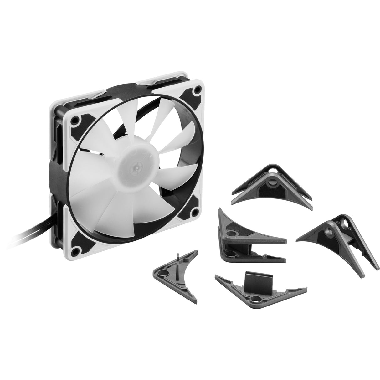 Sharkoon silentstorm 120 pwm rgb kabinet blæser (120 x 120 x 25 mm)